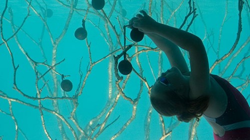 שרון גלזברג, "חליפת עורה", 2009, וידיאו, 7:40 דקות, הקרנה מחזורית שרון גלזברג, "חליפת עורה", 2009, וידיאו, 7:40 דקות, הקרנה מחזורית