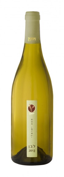 ויתקין מסע ישראלי