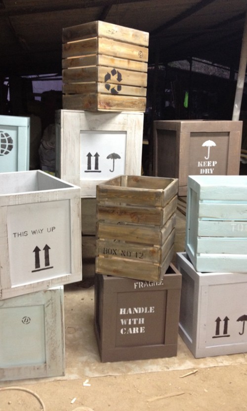 בשמת גל. צילום: בועז לביא