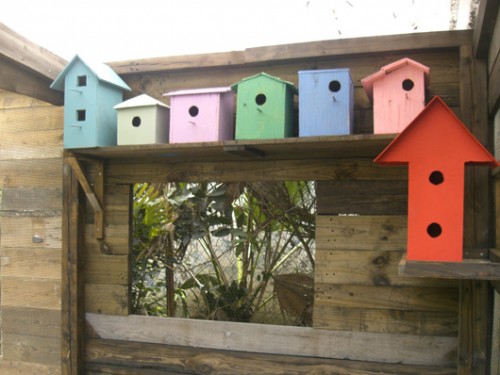 בשמת גל. צילום: בועז לביא