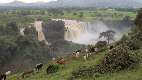 מפלי הנילוס הכחול. אחת מגולות הכותרת של הטיול. צילום: לאה אורבך-פרונט
