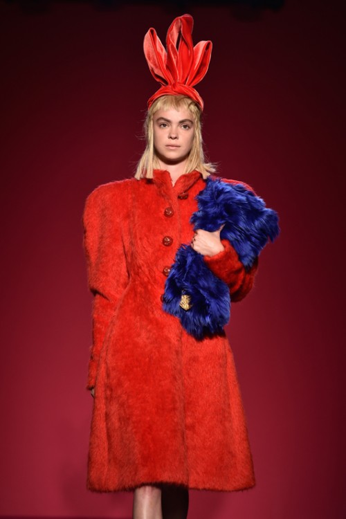 סקיאפרלי |צילום: gettyimages