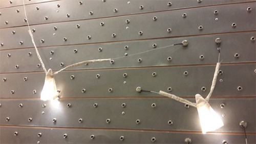 מבזק מקומי - השקות מיריד צבע טרי