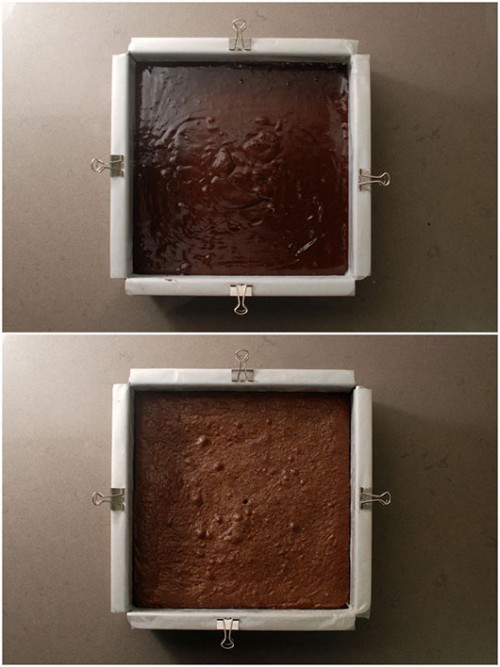 בסיס הבראוניז | צילום: נועם