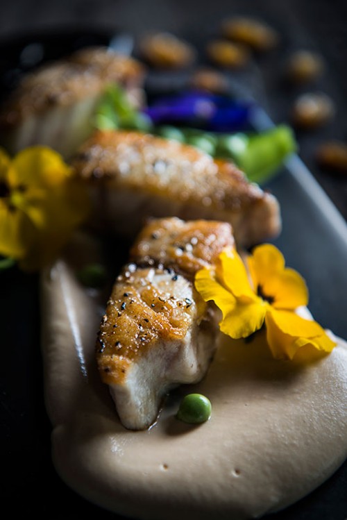 קוביות לוקוס על קרם שקדים לבנים וצימוקים | צילום: בן יוסטר