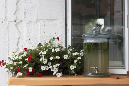 שמונה, גן יאשיה | צילום: אורית כץ