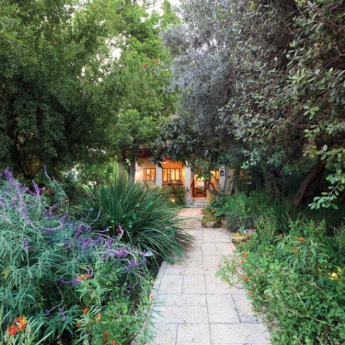 עצי פרי ותיקים בשילוב צמחייה ים תיכונית ועשבי תיבול סביב שביל הגישה לבית