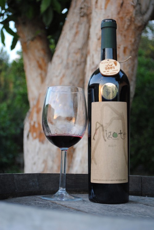 יקב אליגוטה | צילום: דור פנטי