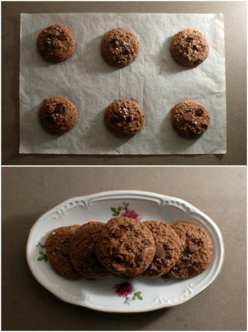 מניחים את העוגיות להצטנן מספר דקות ואז מסתערים | צילום: בלוג פצפוצים