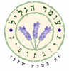 לוגו אירית קינן