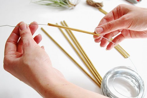 שלב 2: יוצרים מעויינים | צילום: דילה באירמוב