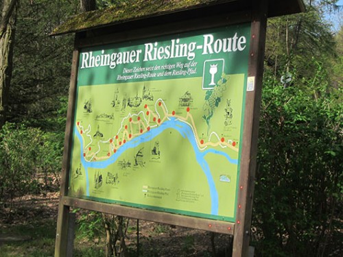 מסלול יום באזור הריזלינג של גרמניה | צילום: יח"צ 