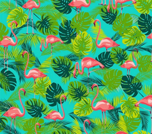 גליל טפט מבלהקולה | צילום: יח"צ