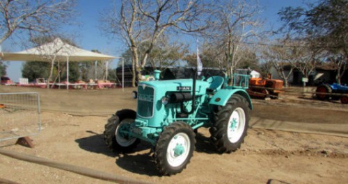 פסטיבל מיוחד לציון הקציר במוזיאון ארץ ישראל | צילום: יח"צ 