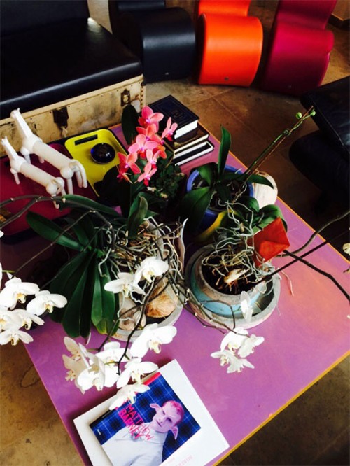 על השולחן בסלון ערבוביה של פירות קוקוס מהמלדיביים, סחלבים, ספרי אופנה ועיצוב. בבית שח אורית פרייליך | צילום: אורית פרייליך