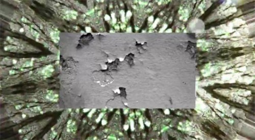 תערוכת וידאו ארט בנמל יפו | דימוי מתוך עבודה של נינה שפיגל