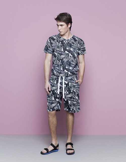 קסטרו | צילום: דודי חסון