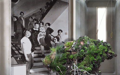 עילית אזולאי "בחזות הדברים", 2011, הזרקת דיו על נייר ארכיבי, 68X108 ס"מ   באדיבות האמנית וגלריה ברוורמן, תל אביב