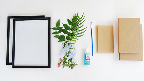 החומרים ליצירת אמנות בוטנית | צילום: דילה באירמוב