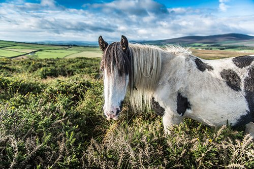 הרבה סרטים הוליוודיים צולמו באזור. צילום: shutterstock