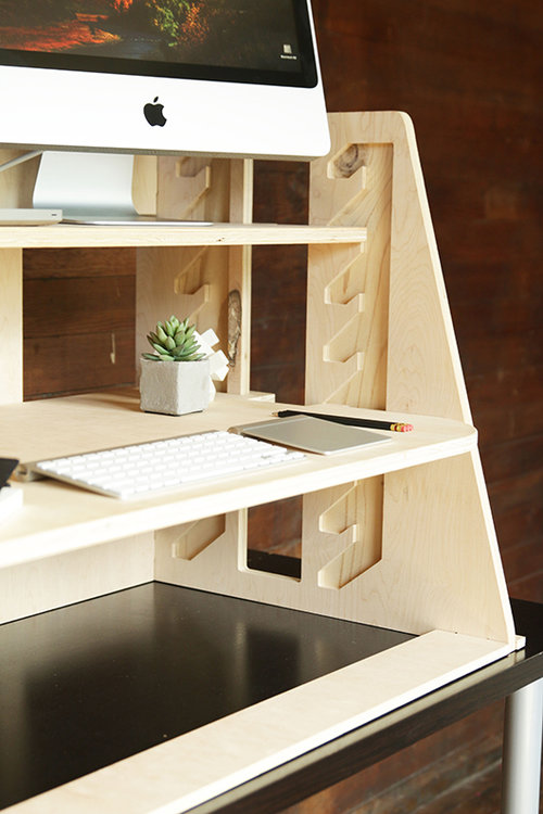 Perch | צילום: יח"צ