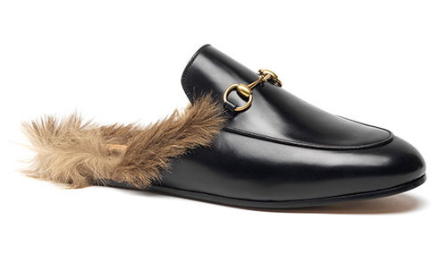 גוצ'י, 4,577 ש"ח | צילום: יח"צ