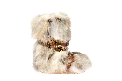 מוסקינו למרי, 6,250 ש"ח | צילום: יח"צ