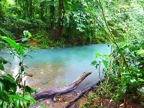 מי הטורקיז של ריו סלסטה. צילום: סיגלית בר