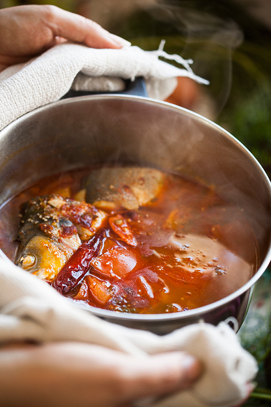 מרק דייגים | צילום: אפיק גבאי