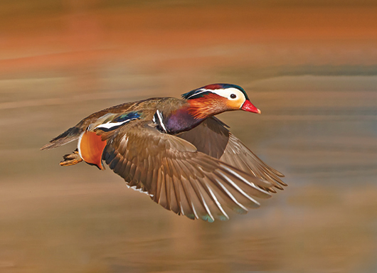 צילום של שלמה ולדמן