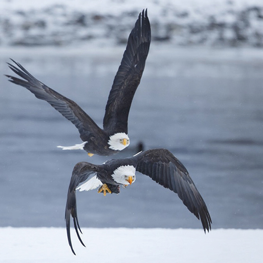 צילום של שלמה ולדמן