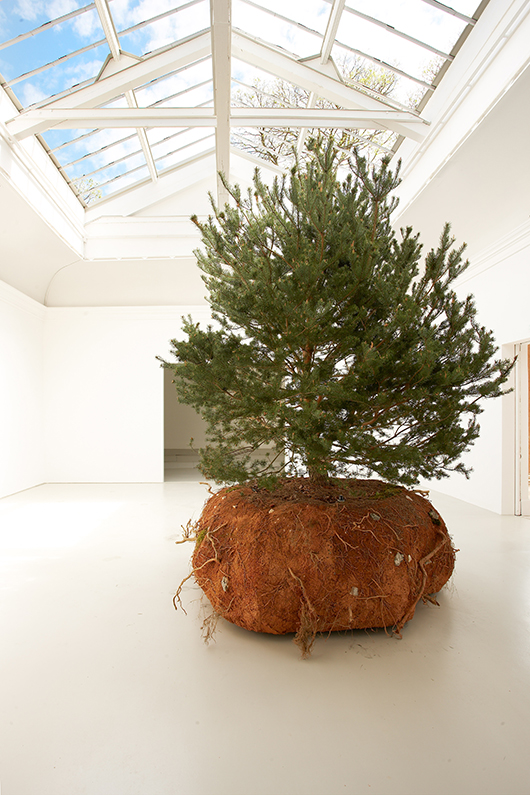 TransHumUs 1, שנת 2015 | באדיבות גלריה Paula Cooper, ניו יורק TransHumUs 1, שנת 2015 | באדיבות גלריה Paula Cooper, ניו יורק