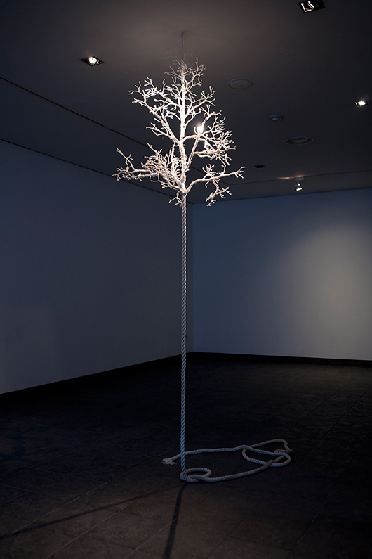 ללא כותרת, 2010 | צילום: באדיבות האמן ללא כותרת, 2010 | צילום: באדיבות האמן