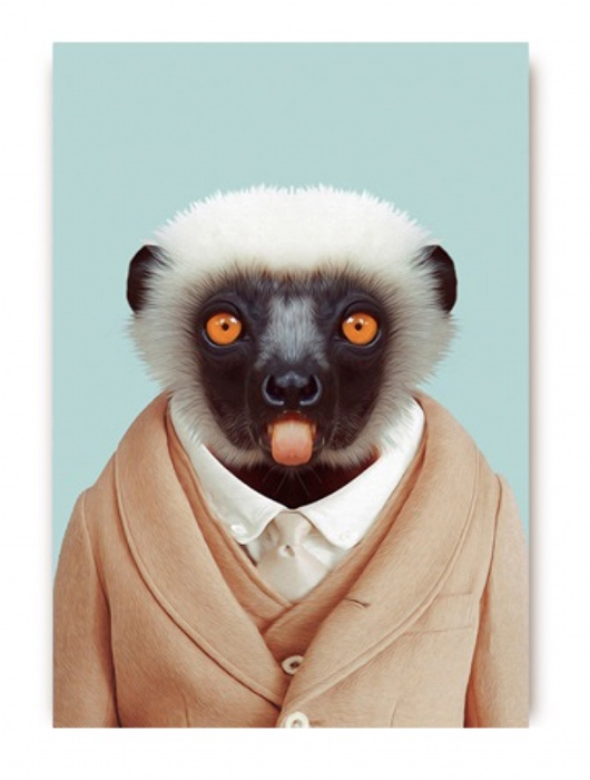 גלויות בעיצוב יאגו פרטל, 12 שקלים ליחידה | צילום: יח"צ