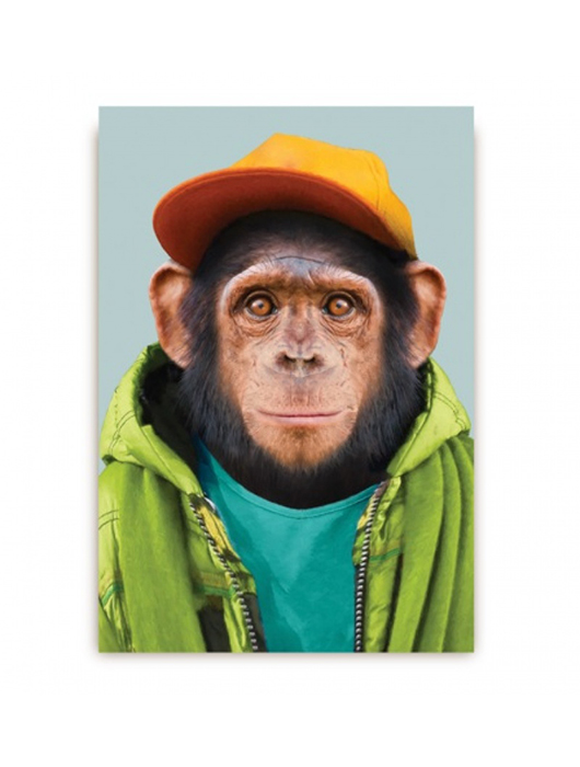 גלויות בעיצוב יאגו פרטל, 12 שקלים ליחידה | צילום: יח"צ