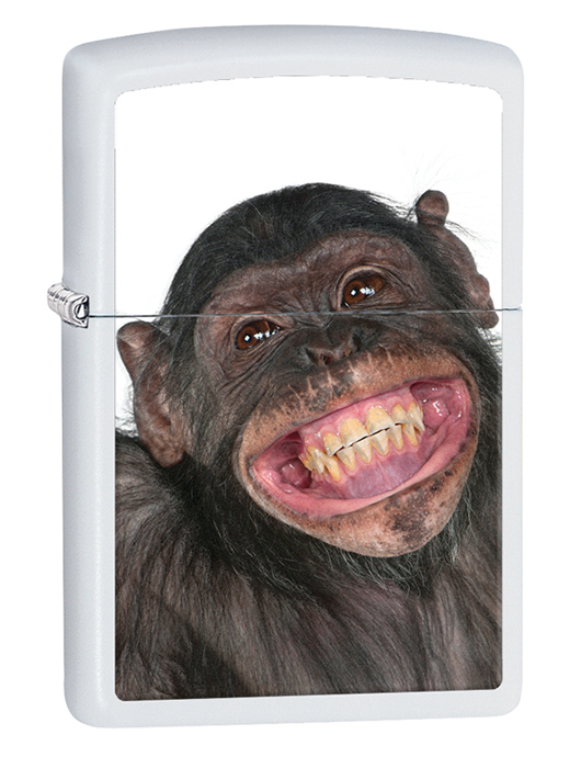 מצת, 173 שקלים | צילום: יח"צ