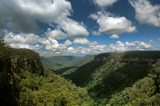 נוף נהדר בהרים הכחולים | צילום: נועה סיטי אליהו