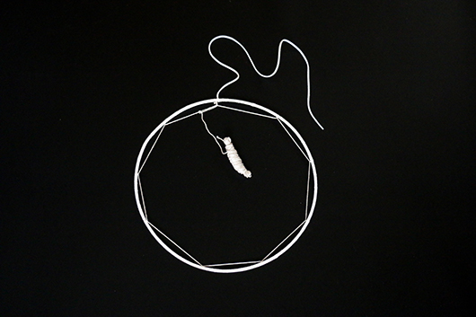 שלב 2: כדי ליצור את הרשת הפנימית, קחו את חוט הכותנה וצרו ממנו כדור נוח לעבודה. מקמו את מעגל הלולאות הראשון וממנו השחילו על פי השרטוט המצורף. חשוב מאוד לשמור על מתח החוט לכל האורך