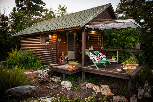 נחלת מגנוליה. לוקיישן אגדי לשלווה | צילום: ליאת גל גוטיארז