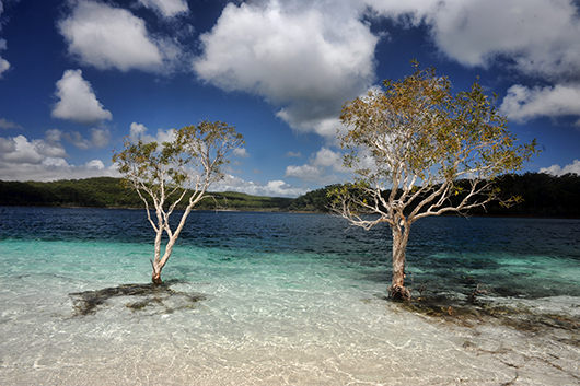 Fraser Island | צילום: נועה סיטי אליהו
