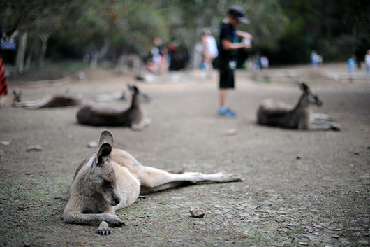 Gold Coast | צילום: נועה סיטי אליהו