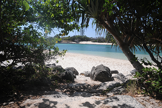 Gold Coast | צילום: נועה סיטי אליהו