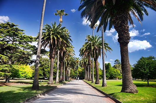 מלבורן | צילום: נועה סיטי אליהו