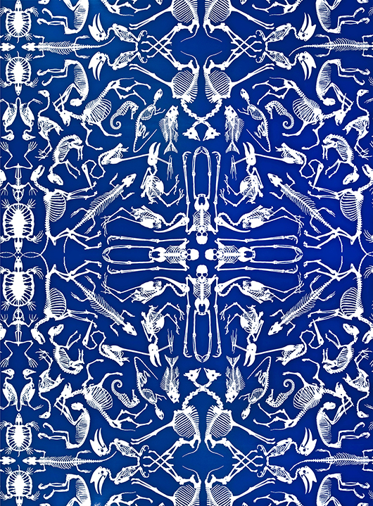 תצוגה חדשה לאמנות דקורטיבית בפריז | צילום: יח"צ