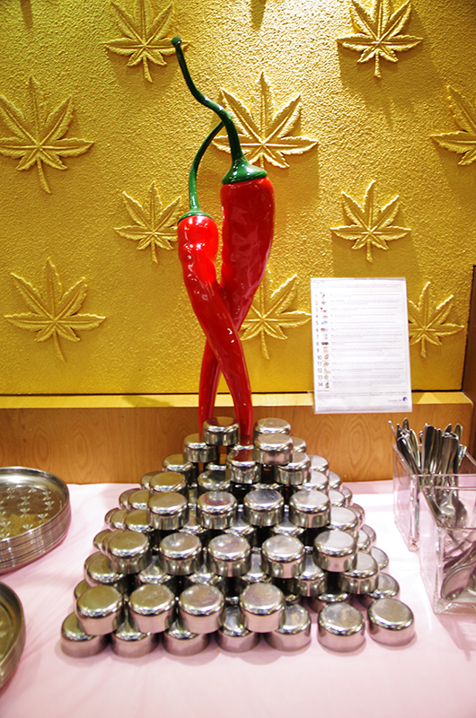 צילום: שאול אדר