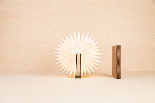 מספק את אפקט ההפתעה | צילום: יח"צ