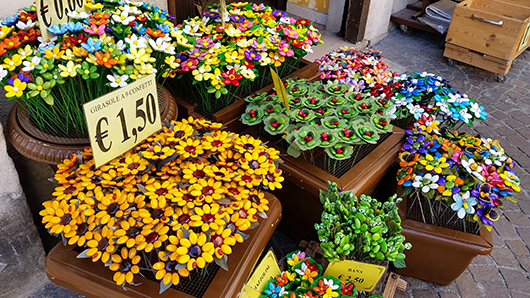 זרי סוכריות, סולמונה. צילום: שרון בן דוד