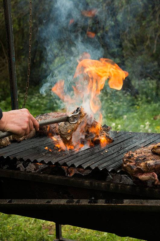 צילום: בן יוסטר
