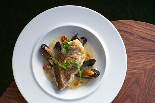 צילום: אנטולי מיכאלו