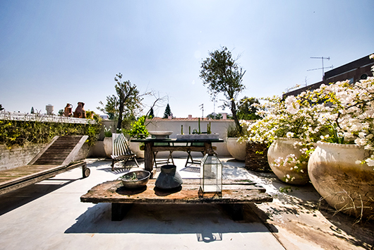 פרטים בחצר הבית | צילום: איתי סיקולסקי